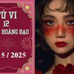 Tử vi 12 cung hoàng đạo ngày 8/5: Song Tử chậm trễ, Bảo Bình thuận lợi