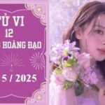 Tử vi 12 cung hoàng đạo ngày 5/5: Cự Giải chậm trễ, Sư Tử tiêu cực