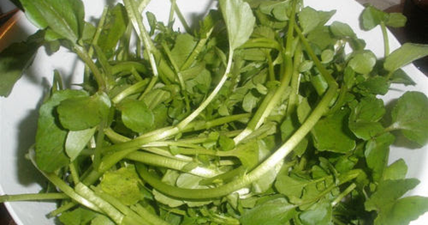 Việt Nam có loại rau chống ung thư tốt nhất thế giới, tốt cho sức khỏe tim mạch và xương khớp