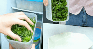 Bí quyết giữ rau thơm tươi lâu và cách trữ đông rau mùi hiệu quả