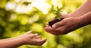 Tuất làm gì cũng thuận, Mão có nguồn thu bất ngờ