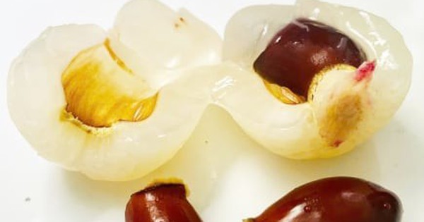 Bài thuốc trị bệnh từ hạt vải