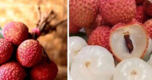 7 nhóm người nên hạn chế ăn quả vải