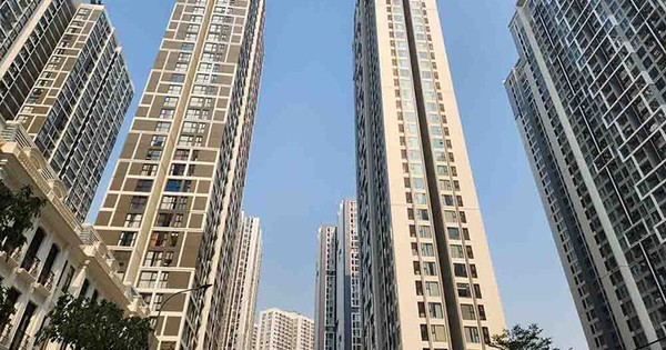 Hợp phong thủy lại hút tài lộc!