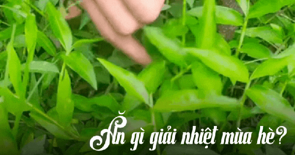 Rau thài lài trắng món ngon không thể thiếu