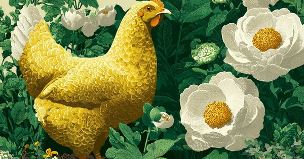 3 con giáp này làm gì cũng thuận, tình cảm thăng hoa
