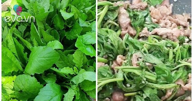 Cây này nghe tên lạnh cả gáy, xưa cho lợn ăn nay thành đặc sản, giá trên dưới 100.000đ/kg, cứ nhắc đến là ai cũng thích