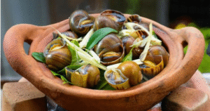 Luộc ốc ngon giòn chuẩn vị nhà hàng , bạn đã biết chưa?
