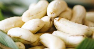 Có gì đặc biệt mà ai cũng mê