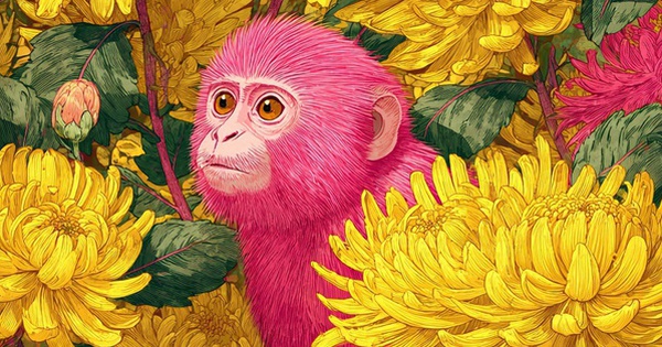 3 con giáp “chạm đỉnh” may mắn, tình tiền đều viên mãn